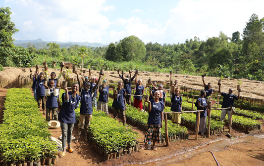 Ethiopia Bette Buna Natural (JAN 26)