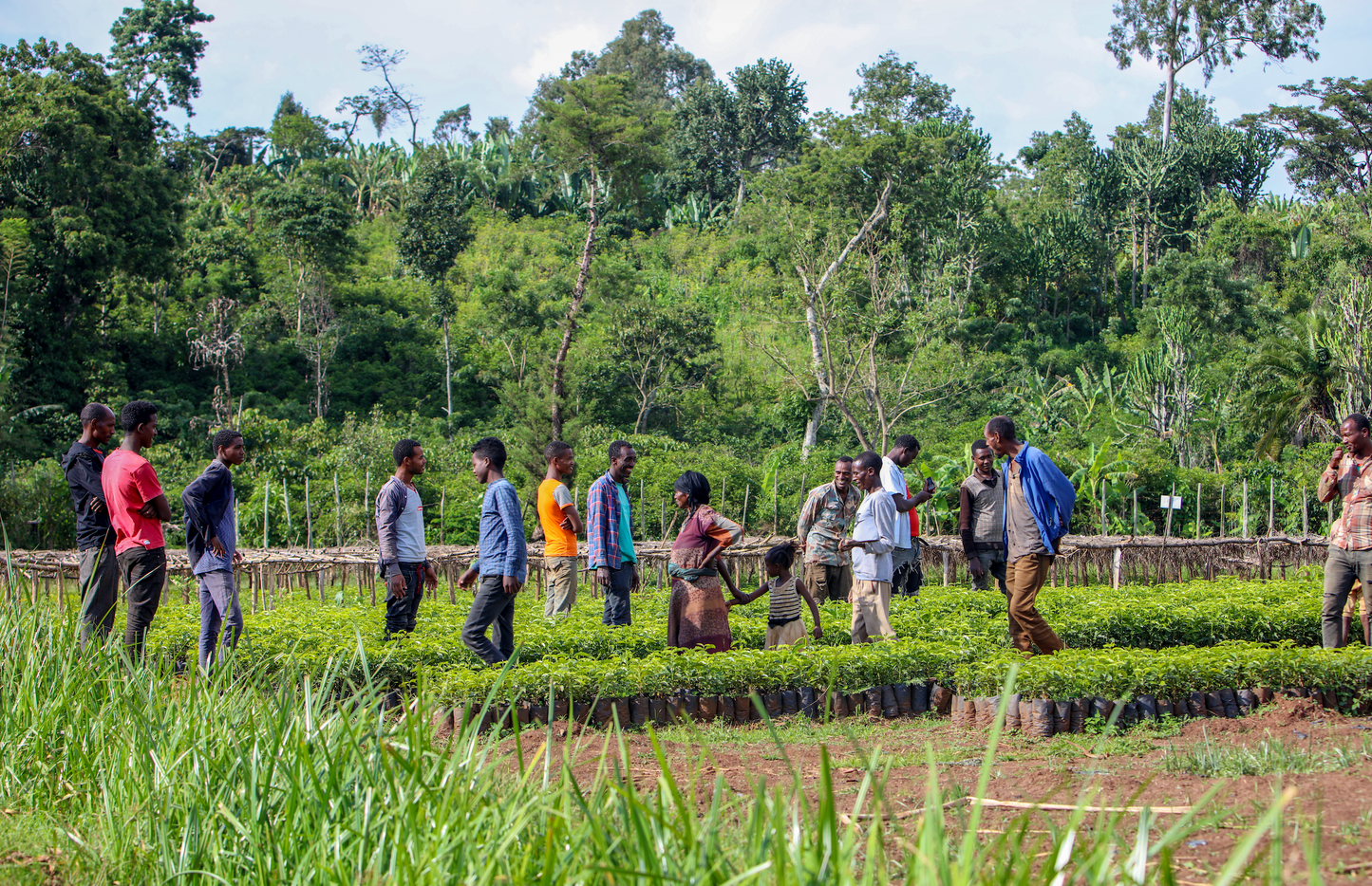 Ethiopia Bette Buna Natural (JAN 26)