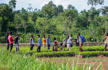 Ethiopia Bette Buna Natural (JAN 26)
