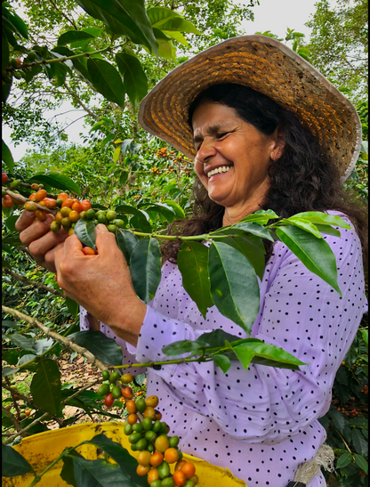 Colombia Asobombo