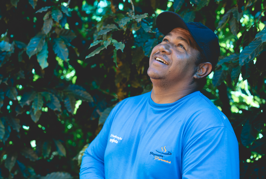 Brazil Parceiros do Cafe (NOV 25)