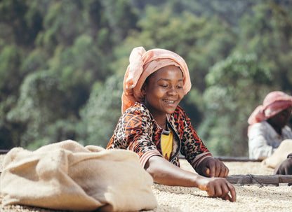 Ethiopia Ayla Shantawene Washed (JUL 26)