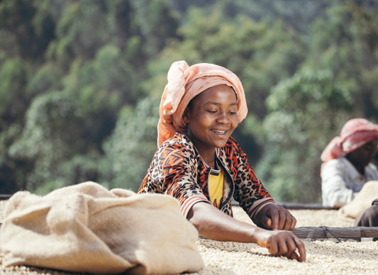 Ethiopia Ayla Shantawene Washed (JUL 26)