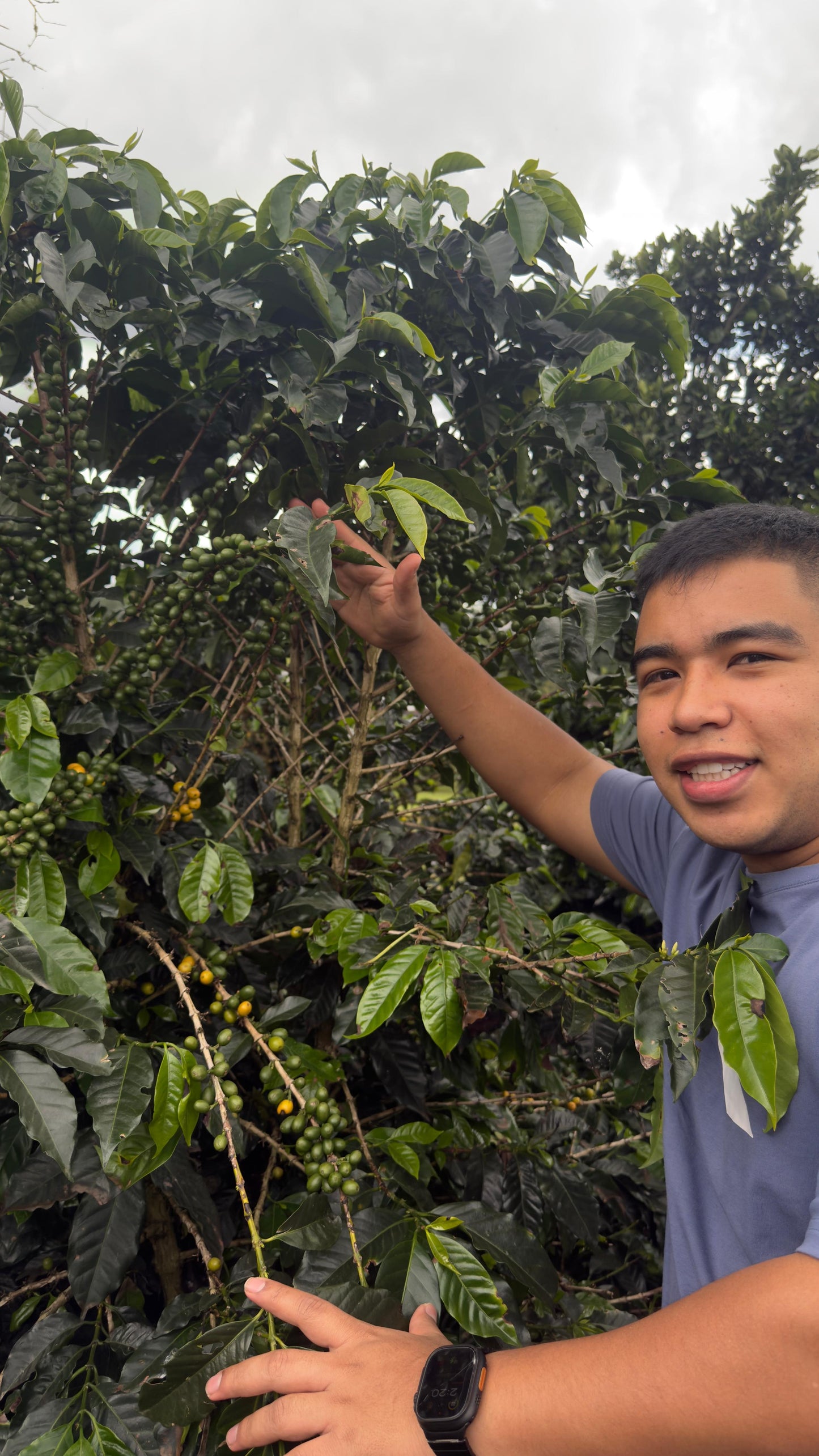 Colombia Andrés Martinez Geisha (MAY 26)