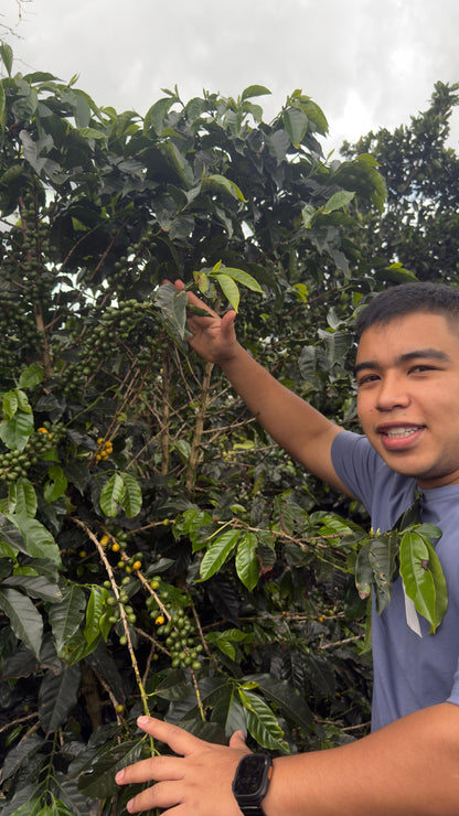 Colombia Andrés Martinez Geisha (MAY 26)
