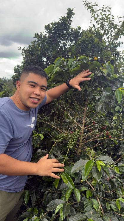 Colombia Andrés Martinez Caturra Floral (FEB 26)