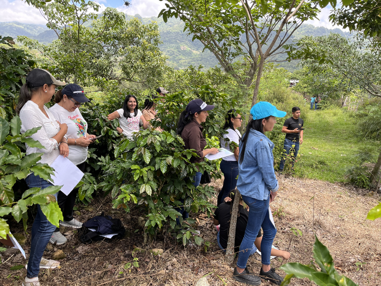 Honduras La Labor (JUL 26)
