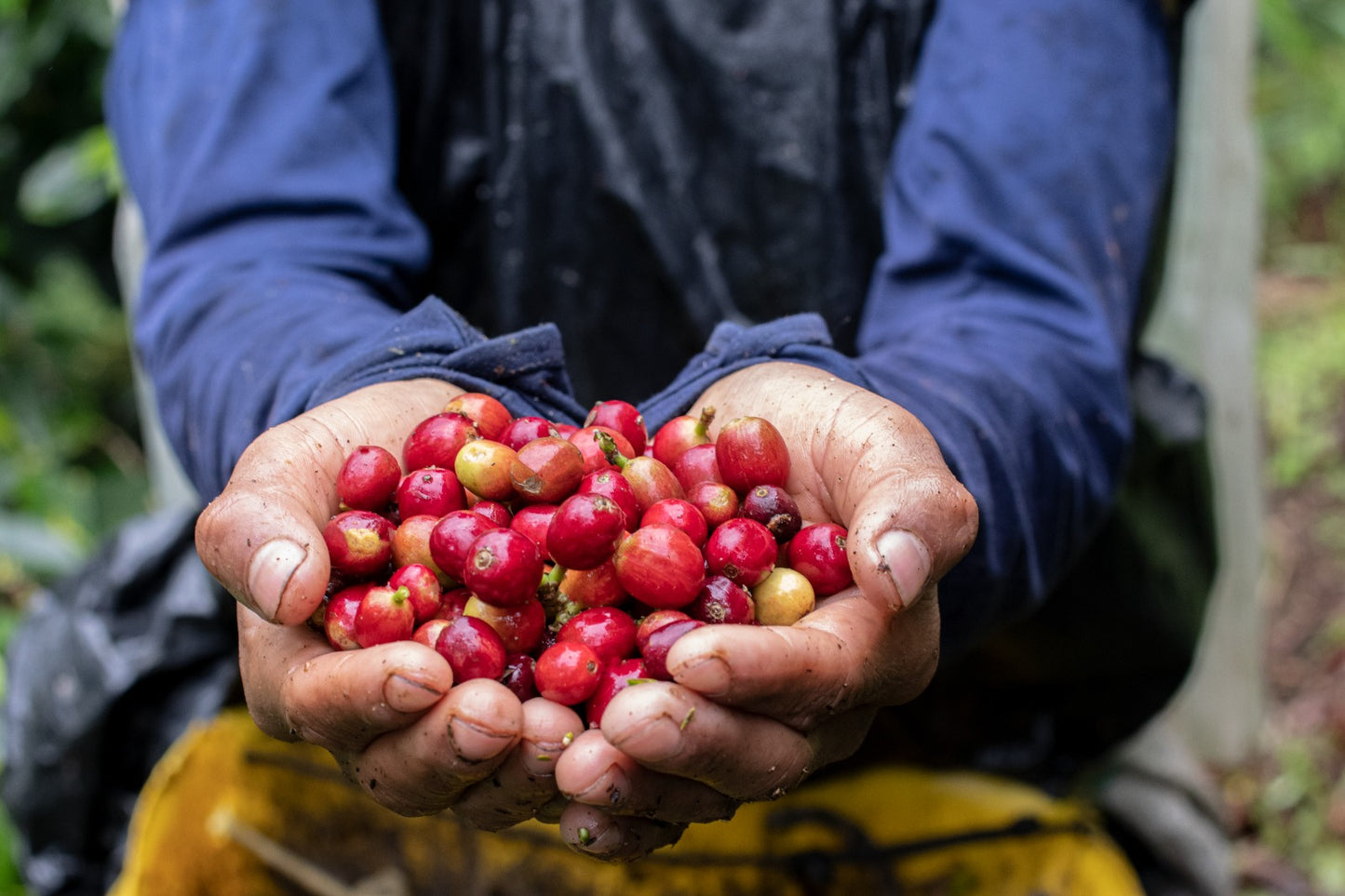 Colombia Asobombo (MAY 26)