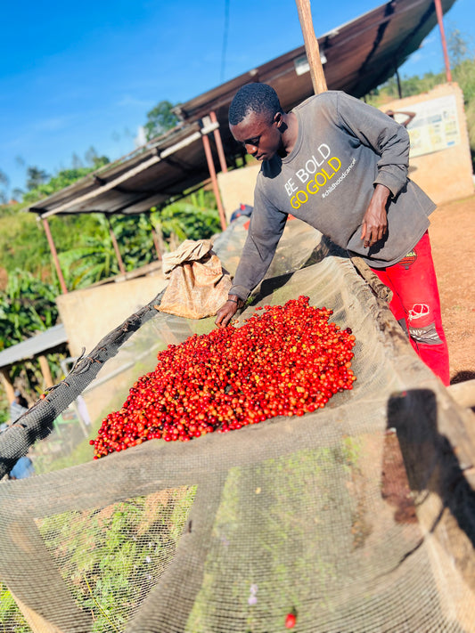 Burundi Busasa (JAN 26)