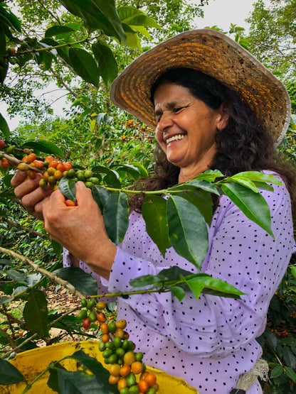 Colombia Asobombo (OCT 25)
