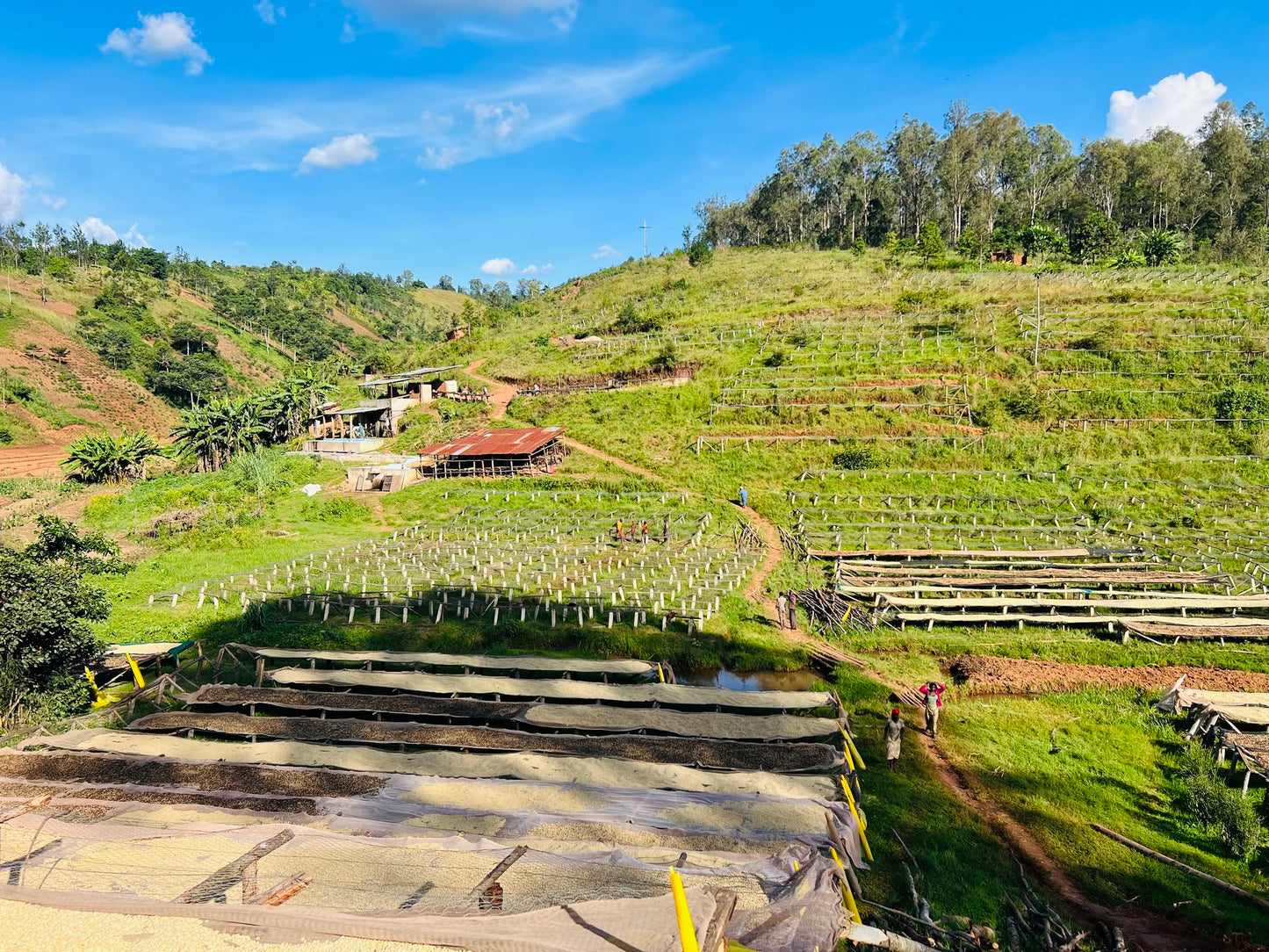 Burundi Busasa (JAN 26)