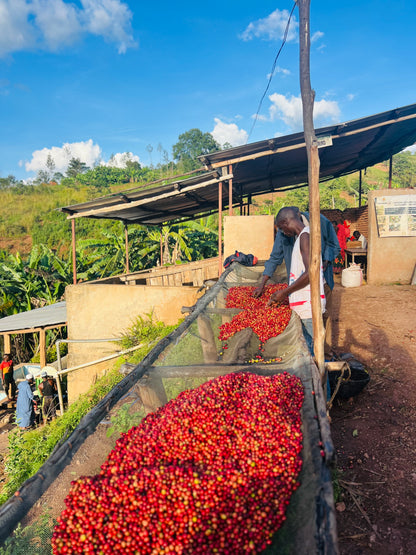 Burundi Busasa (JAN 26)
