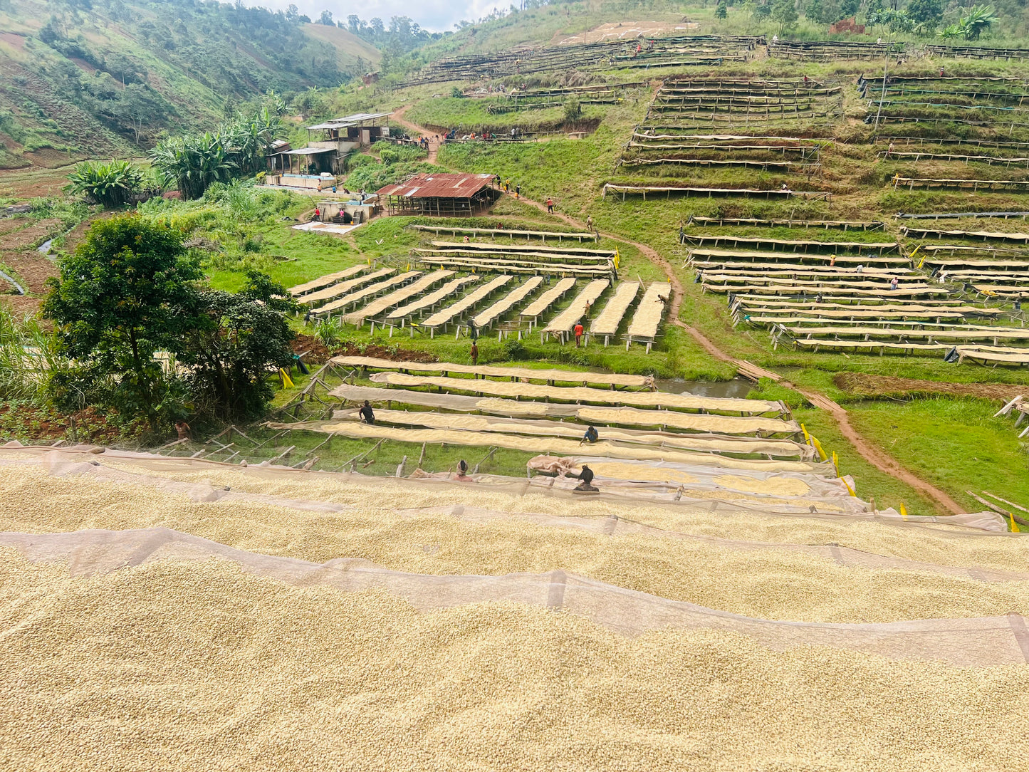 Burundi Busasa (JAN 26)